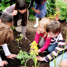 children gardening
